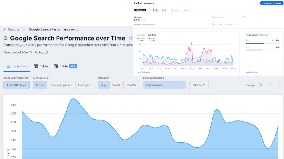 Google Search traffic performance report and paid advertising overview